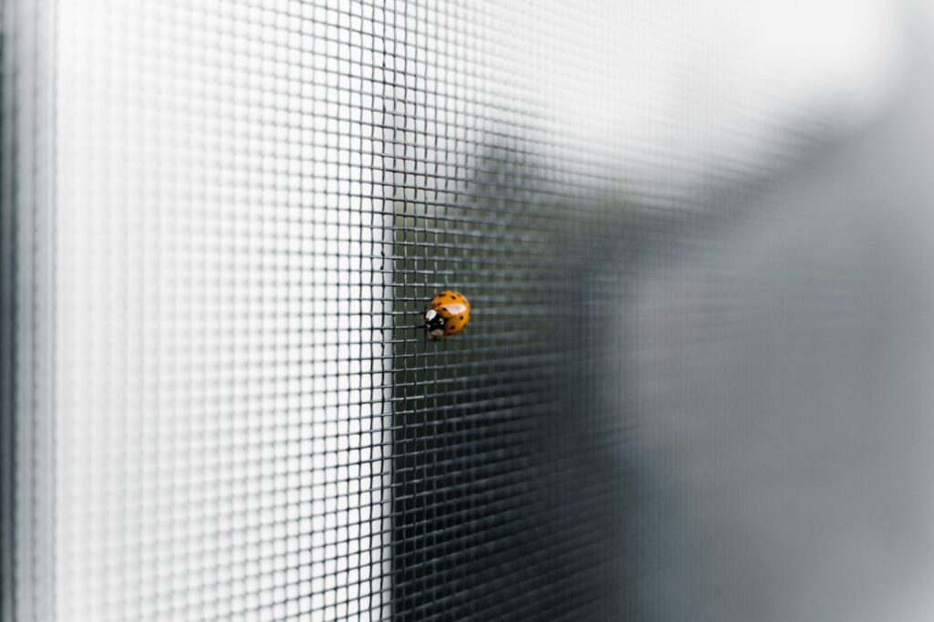 aditya vyas RvYc3EclQXE unsplash