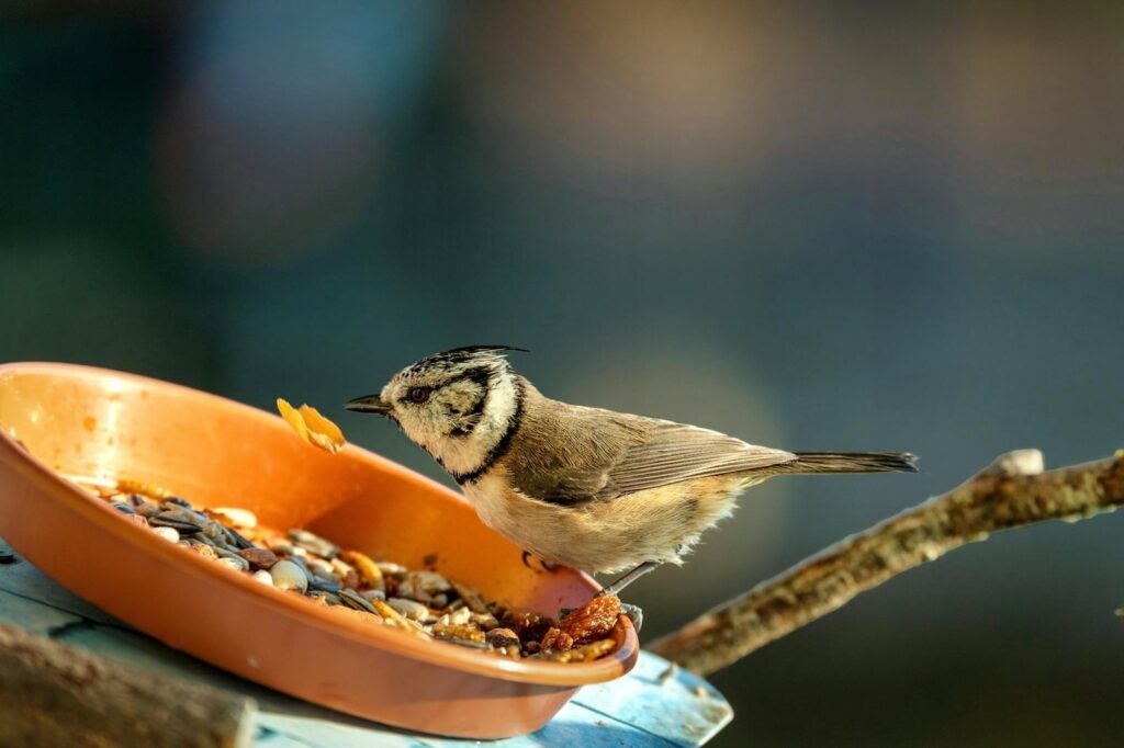 pexels guvo59 34644601 min