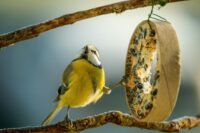 pexels guvo59 34842236 min