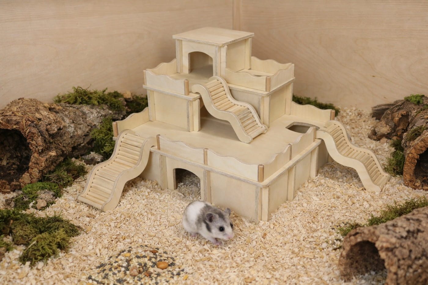 Der Hamster – das perfekte Haustier für Jugendliche? 9 artgerechtes hamsterhaus hamsterwelten 1