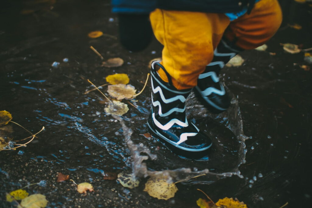 daiga ellaby Ny1vyUgidMg unsplash 1