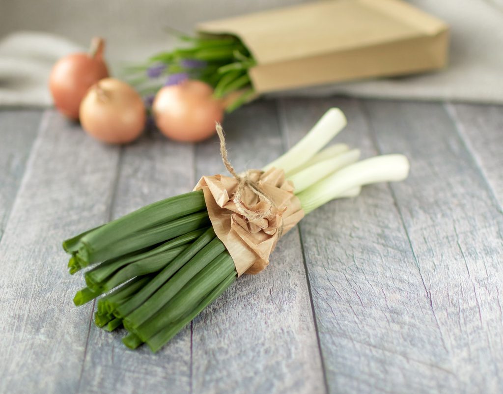 Rezept des Monats 09.2026: Veggie Käse-Lauch-Hack-Suppe 6 Lauch funktioniert für Kinder besonders gut in einer Suppe