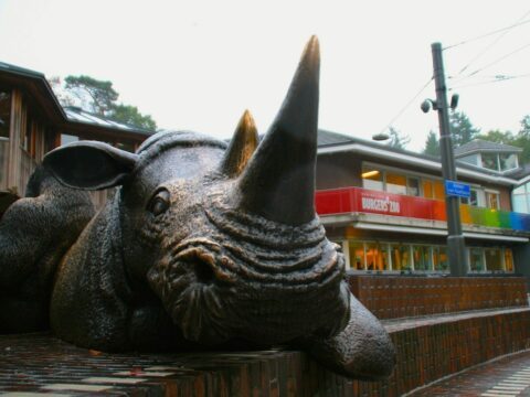 BurgersZoo Nashoren header e1676642901317