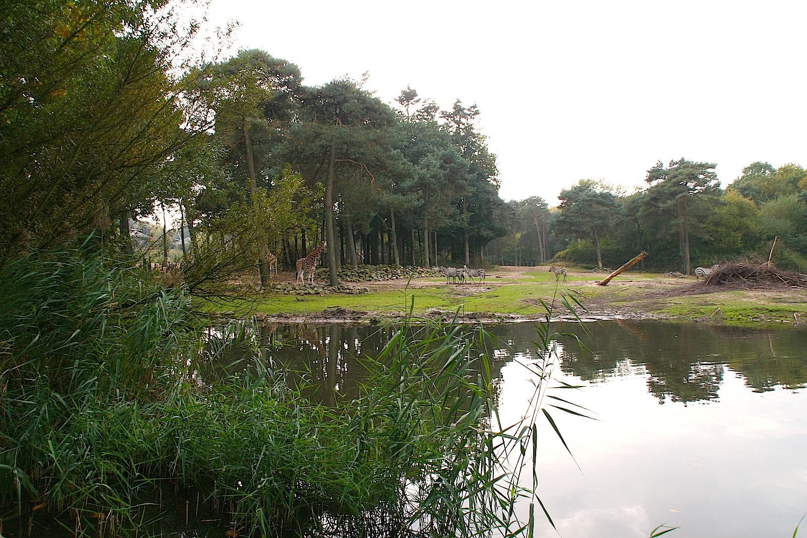 BurgersZoo Savanne