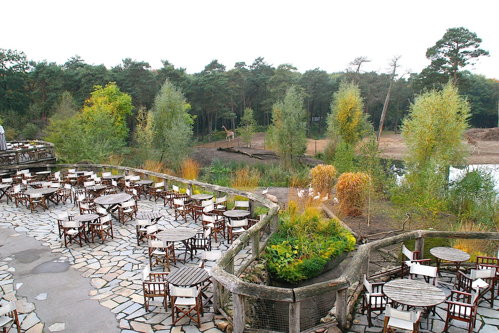 BurgersZoo Savanne location