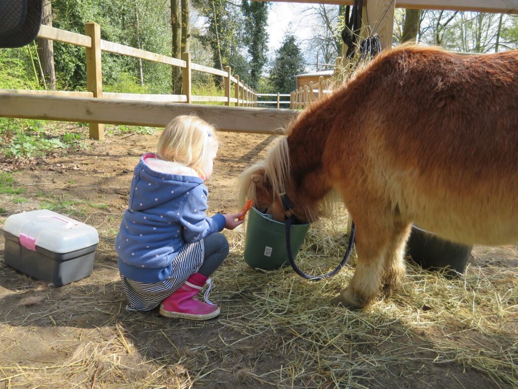 Center Parcs Erperheide Pony