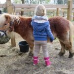 center-parcs-erperheide-pony-urlaub