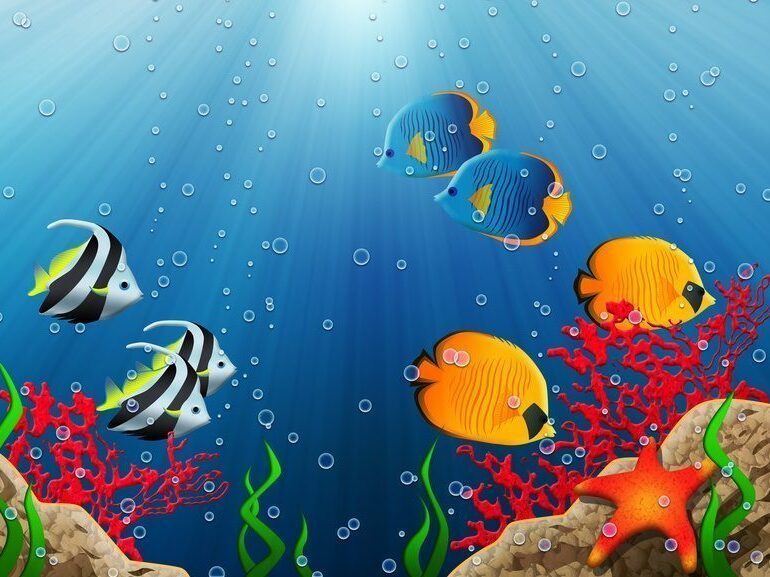 Fotolia 14413600 S e1676909770343