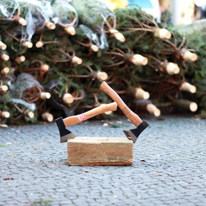 Allergien unterm Weihnachtsbaum 3 Fotolia 37228663 S
