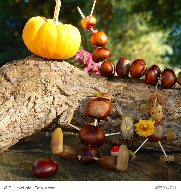Herbstliches Basteln mit Eicheln und Kastanien 2 Fotolia 57034701 S copyright