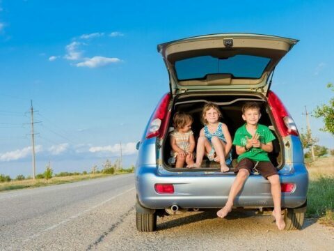 Fotolia 67349526 S e1677155568878