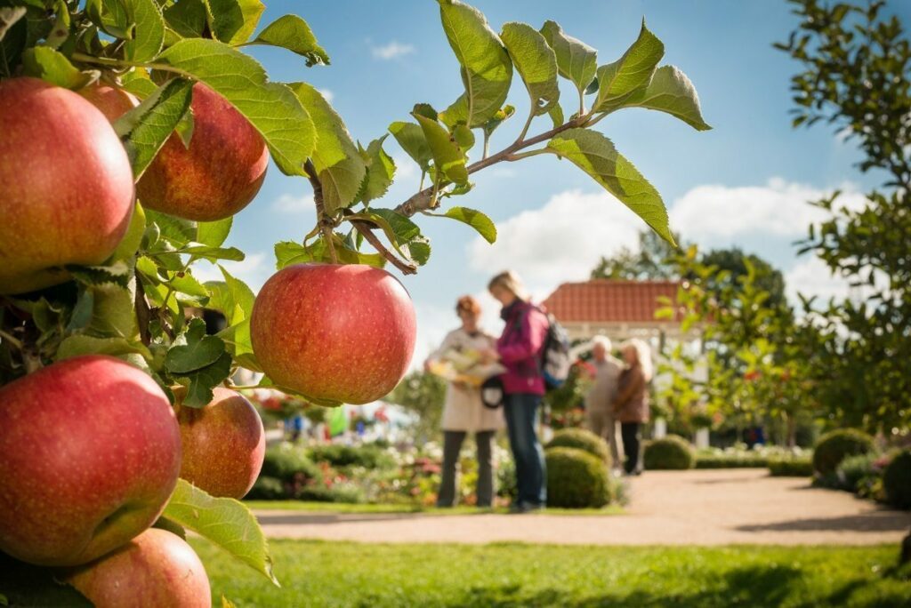 Vielen Dank für die Blumen. Die IGS 2013 aus Sicht eines Vaters 2 IGS 1 apfel