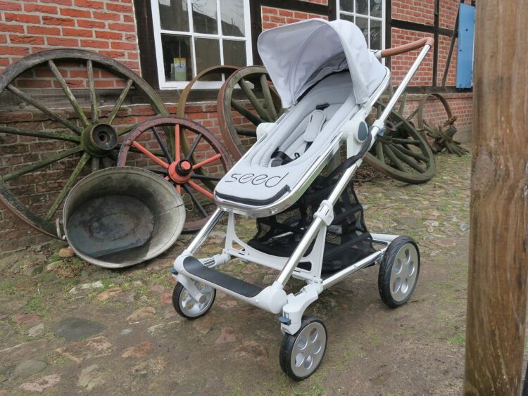 Kinderwagen Seed Papilio (2016) im Daddy-Check - Daddylicious