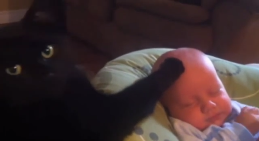 Cat Content: Katze hilft beim Einschlafen 43 Katze streichelt Baby in den Schlaf YouTube