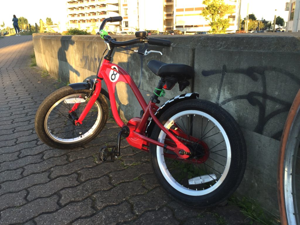 Mit dem Kinderfahrrad Electra Straight 8 auf dem Deich 11 Kinderfahrrad Electra Straight 8 im Test
