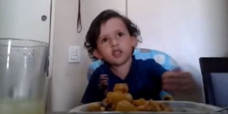 Die Welt mit Kinderaugen: warum essen wir Tiere? 43 luiz octopus